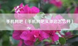 手机网吧（手机网吧实体店怎么开）