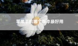 苹果手机哪个版本最好用