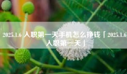 2025.1.6 入职第一天手机怎么挣钱「2025.1.6 入职第一天」