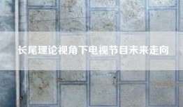 长尾理论视角下电视节目未来走向