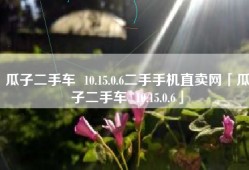 瓜子二手车  10.15.0.6二手手机直卖网「瓜子二手车  10.15.0.6」