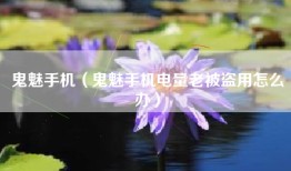 鬼魅手机（鬼魅手机电量老被盗用怎么办）