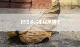 微信会员小程序制作