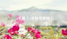 sf手机（sf手机号查询）