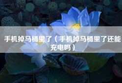 手机掉马桶里了（手机掉马桶里了还能充电吗）