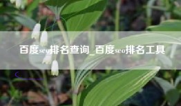 百度seo排名查询_百度seo排名工具
