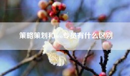 策略策划和seo专员有什么区别