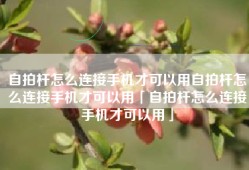 自拍杆怎么连接手机才可以用自拍杆怎么连接手机才可以用「自拍杆怎么连接手机才可以用」