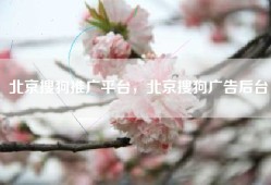 北京搜狗推广平台，北京搜狗广告后台