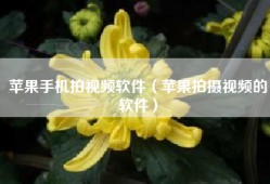苹果手机拍视频软件（苹果拍摄视频的软件）