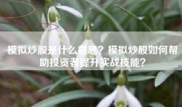 模拟炒股是什么意思？模拟炒股如何帮助投资者提升实战技能？