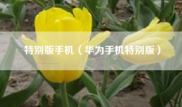 特别版手机（华为手机特别版）