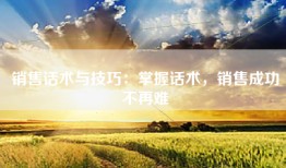 销售话术与技巧：掌握话术，销售成功不再难