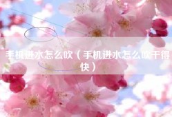 手机进水怎么吹（手机进水怎么吹干得快）