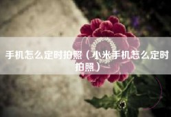 手机怎么定时拍照（小米手机怎么定时拍照）