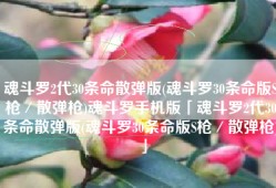 魂斗罗2代30条命散弹版(魂斗罗30条命版S枪／散弹枪)魂斗罗手机版「魂斗罗2代30条命散弹版(魂斗罗30条命版S枪／散弹枪)」