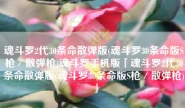 魂斗罗2代30条命散弹版(魂斗罗30条命版S枪／散弹枪)魂斗罗手机版「魂斗罗2代30条命散弹版(魂斗罗30条命版S枪／散弹枪)」