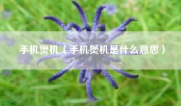 手机煲机（手机煲机是什么意思）