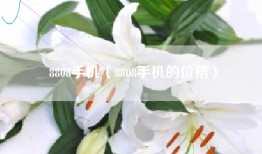 8808手机（8808手机的价格）
