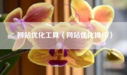 网站优化工具（网站优化操作）