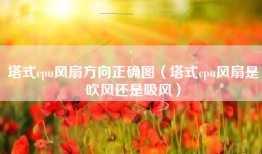 塔式cpu风扇方向正确图（塔式cpu风扇是吹风还是吸风）