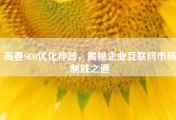 高要SEO优化神器，揭秘企业互联网市场制胜之道