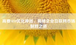 高要SEO优化神器，揭秘企业互联网市场制胜之道