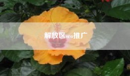 解放区seo推广