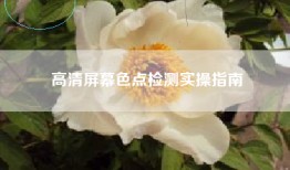高清屏幕色点检测实操指南