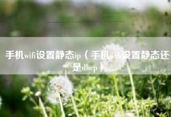 手机wifi设置静态ip（手机wifi设置静态还是dhcp）