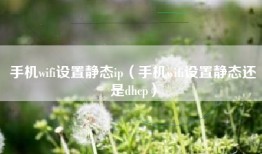手机wifi设置静态ip（手机wifi设置静态还是dhcp）