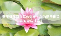 新手机买回来怎么充电（华为新手机首次充电应注意）