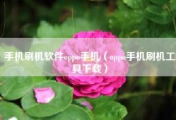 手机刷机软件oppo手机（oppo手机刷机工具下载）