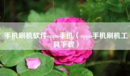 手机刷机软件oppo手机（oppo手机刷机工具下载）
