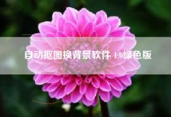 自动抠图换背景软件 1.0绿色版