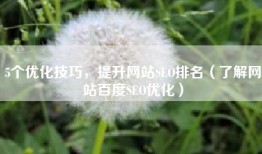 5个优化技巧，提升网站SEO排名（了解网站百度SEO优化）