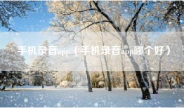 手机录音app（手机录音app哪个好）