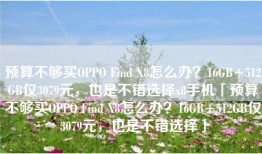 预算不够买OPPO Find X8怎么办？16GB+512GB仅3079元，也是不错选择x8手机「预算不够买OPPO Find X8怎么办？16GB+512GB仅3079元，也是不错选择」