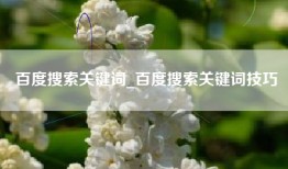 百度搜索关键词_百度搜索关键词技巧
