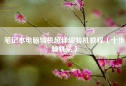 笔记本电脑验机超详细验机教程（十步验机法）