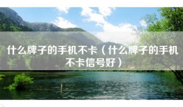 什么牌子的手机不卡（什么牌子的手机不卡信号好）