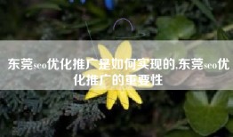 东莞seo优化推广是如何实现的,东莞seo优化推广的重要性