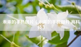 未来的手机图片（未来的手机图片 高科技）