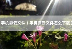 手机微云文件（手机微云文件怎么下载）