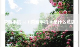 荣耀手机 hd（荣耀手机HD是什么意思）