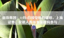 丽珠集团：12月4日接受机构调研，上海证券、农银人寿等多家机构参与