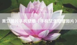 美女图片手机壁纸（手机女生壁纸图片）