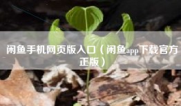 闲鱼手机网页版入口（闲鱼app下载官方正版）