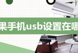 苹果手机usb设置在哪里手机usb设置在哪里「苹果手机usb设置在哪里」