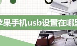 苹果手机usb设置在哪里手机usb设置在哪里「苹果手机usb设置在哪里」